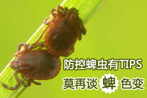 防控有妙招 莫再谈“蜱”色变