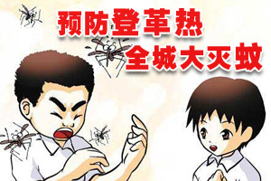 预防登革热 全城动员大灭蚊