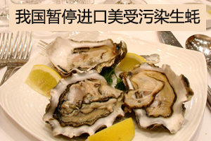 中国质检总局暂停进口美受污染生蚝