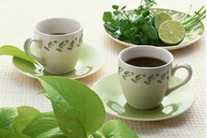 喝茶养生：要因体质季节选茶