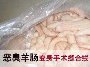 恶臭羊肠变身手术缝合线 执法人员当场呕吐