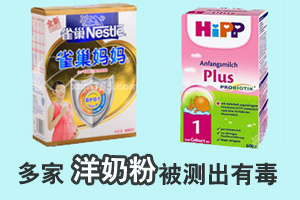 多家洋奶粉测出有毒物：喜宝、雀巢等名列其中