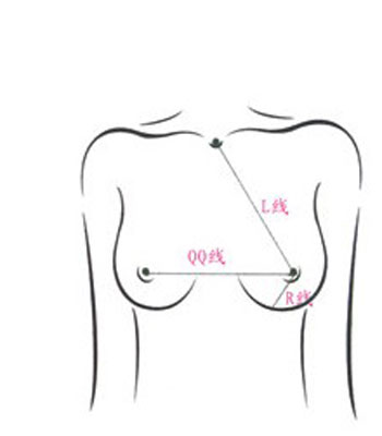 乳房写真:女人乳房最美丽的一面