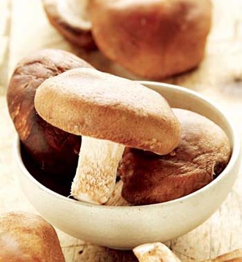 c6c4b67aee2_mushrooms1[1].jpg
