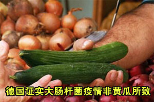德国证实大肠杆菌疫情非黄瓜所致 疫情或将扩散