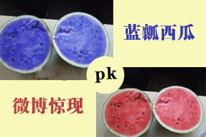 微博现“蓝瓤西瓜” 