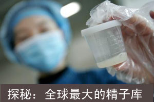 全球最大精子库探秘（图）