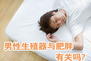 越肥胖生殖器就会越小吗？
