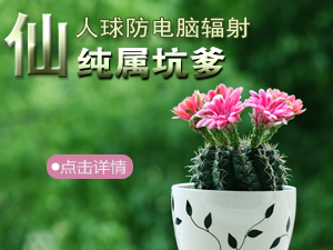 仙人球防辐射？