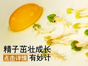 优质精子咋培育