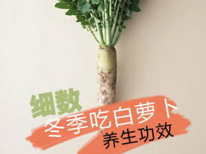 白萝卜养生功效