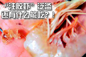 暗访批发店卖注胶虾泛滥 卖家竟称吃不死人