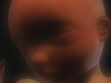 胎儿38周宫内发育震撼高清图片
