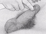 大比拼！男人十大壮阳方法