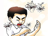 痒痒痒！蚊虫叮咬后如何快速止痒