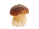 超强燃脂素 蘑菇减肥餐