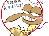 9种驱蚊方法 安全度夏