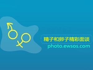 精子卵子面谈