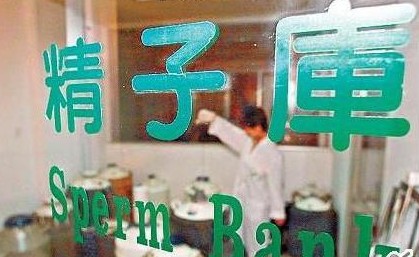 捐精,精子