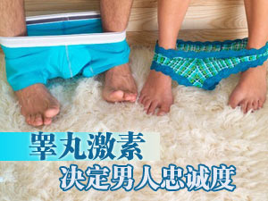 睾丸决定忠诚度