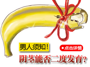 阴茎二度发育