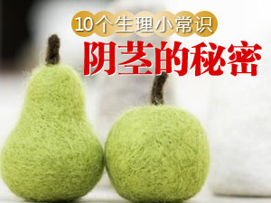 阴茎的十个秘密