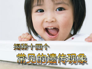 常见遗传现象
