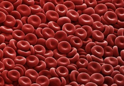 女性器官里最普通的血细胞