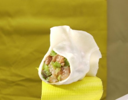 全球12种馄饨饺子大比拼