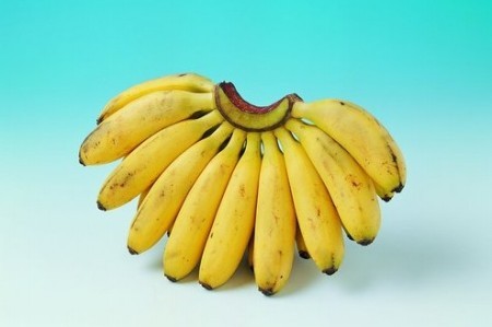 香蕉皮不为人知的13种神奇妙用 香蕉皮不为人知的13种神奇妙用