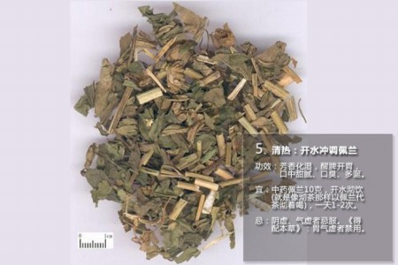 老中医常吃的15味中药 老中医常吃的15味中药