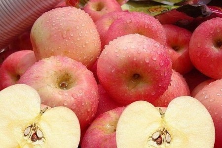 排毒食物和他们的小伙伴们 排毒食物和他们的小伙伴们