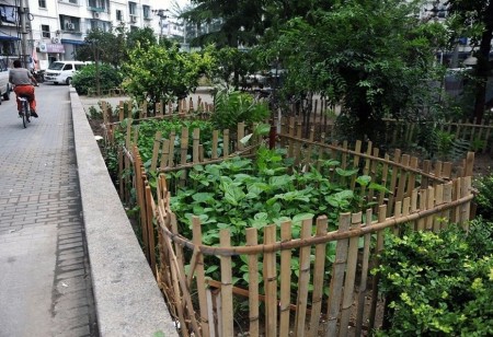 你是“都市开荒族”吗？