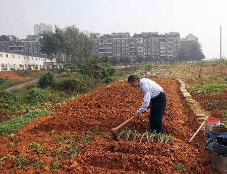 你是“都市开荒族”吗？