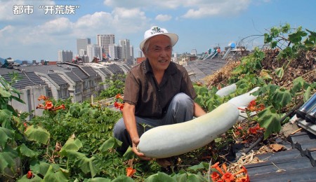你是“都市开荒族”吗? 你是“都市开荒族”吗?