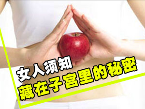 子宫里的秘密