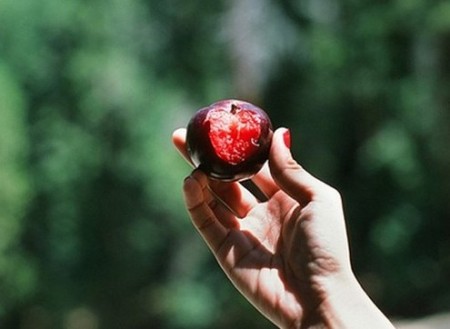 日常食物有10个副作用 8种水果养生是骗局
