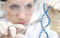 科学家找到胰腺发育不全病因 源于“垃圾DNA”