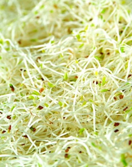 越吃越瘦的15大减肥食物 越吃越瘦的15大减肥食物