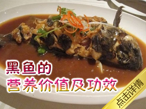 黑鱼价值及功效