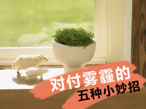 对付雾霾妙招