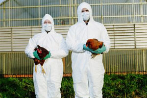 贵州110名禽流感密切接触者目前全部解除医学观察