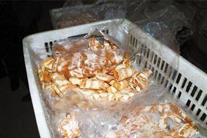 辽宁奸商用鸭肉边角“山寨”有毒牛羊卷 
