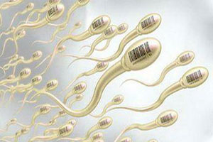 男人如何自我检测精子健康？