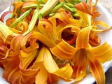 七种有毒蔬菜千万不要吃
