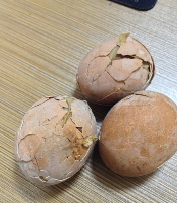吃了童子蛋,春天不会犯困