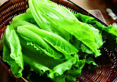 绿叶菜冷藏效果好