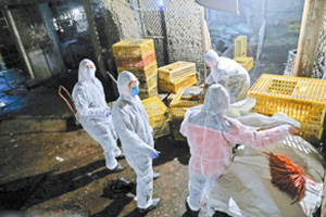 钟南山称H7N9病毒较复杂 关闭活禽市场未必有用