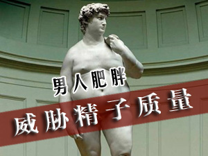 肥胖精子质量差