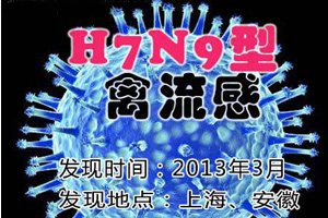 H7N9十八例死亡六人 已加快抗流感药物审核